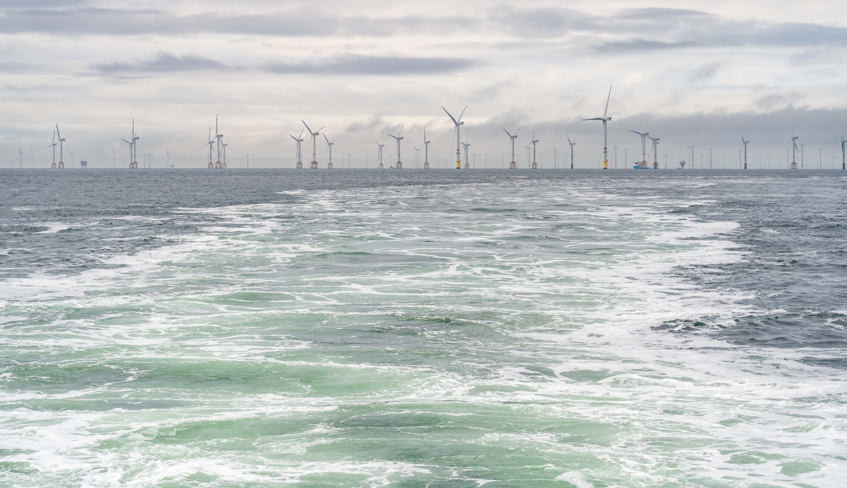 Boluda-Zeebrugge-84.jpg